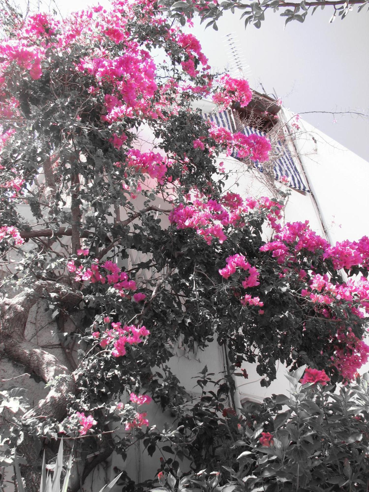 Gio-Ma Daire Plakias Dış mekan fotoğraf